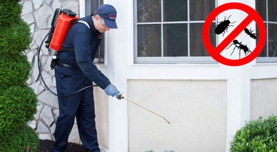 Germencik Fare İlaçlama böcek ilaçlama ve haşere kontrolü — ilaclama-tr.com